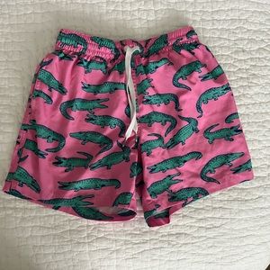Men’s Chubbies Swim Trunks 5.5”